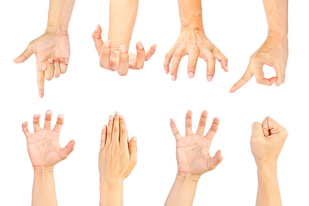 istock Collection of hands in various styles isolated on white background 468264721