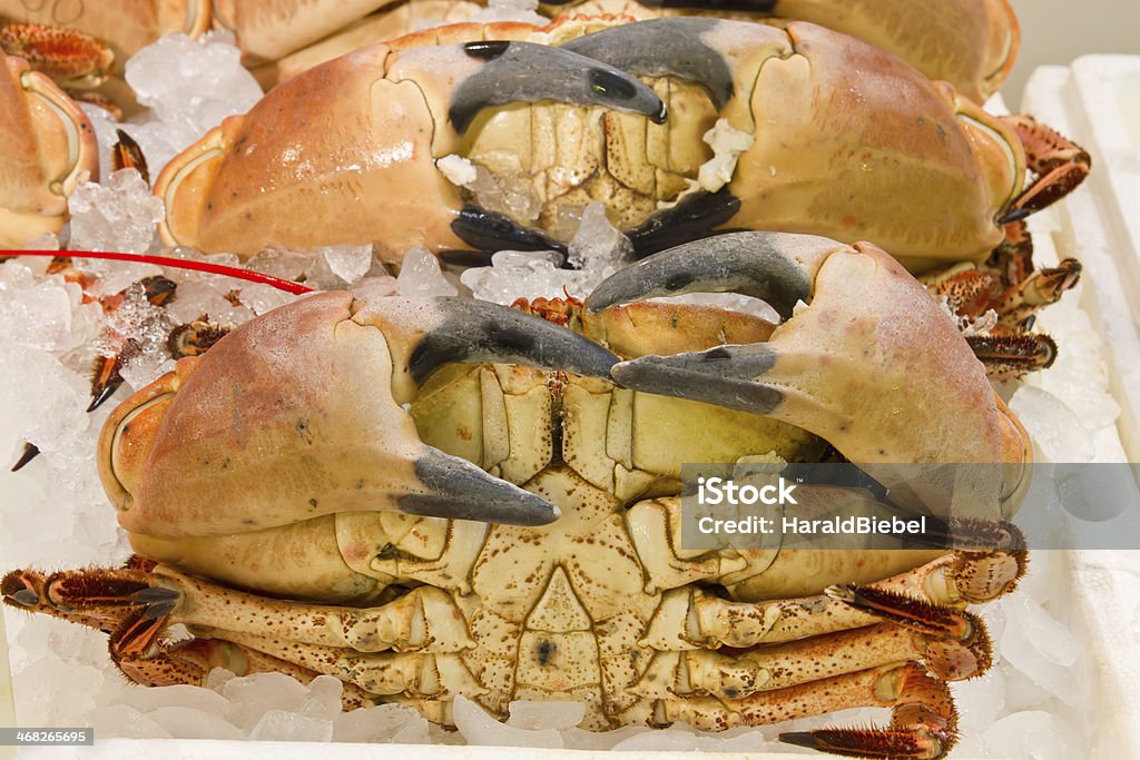 Frische Krabben auf einem Markt - Lizenzfrei Eis Stock-Foto