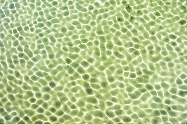 istock background of water ripples textures 468271011