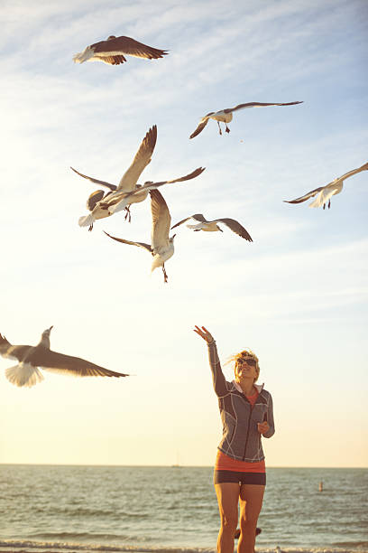 istock Woman feeding seagulls on the beach 468271588