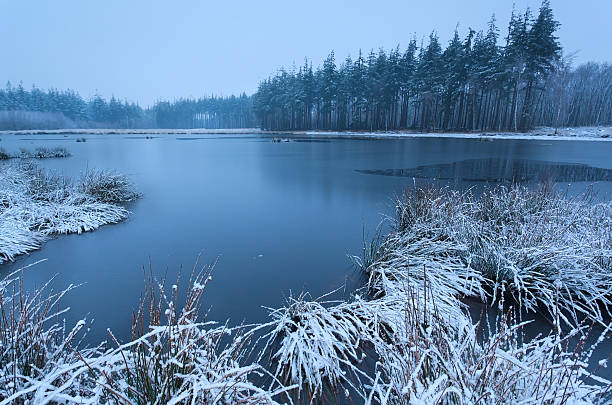 istock cold winter morning over wild lake 468271771