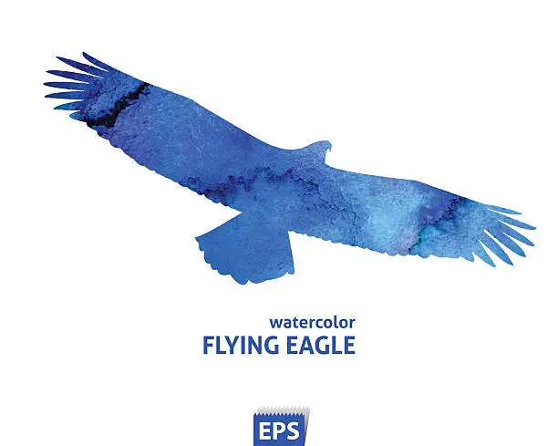 Vector illustration of Watercolor flying blue eagle
