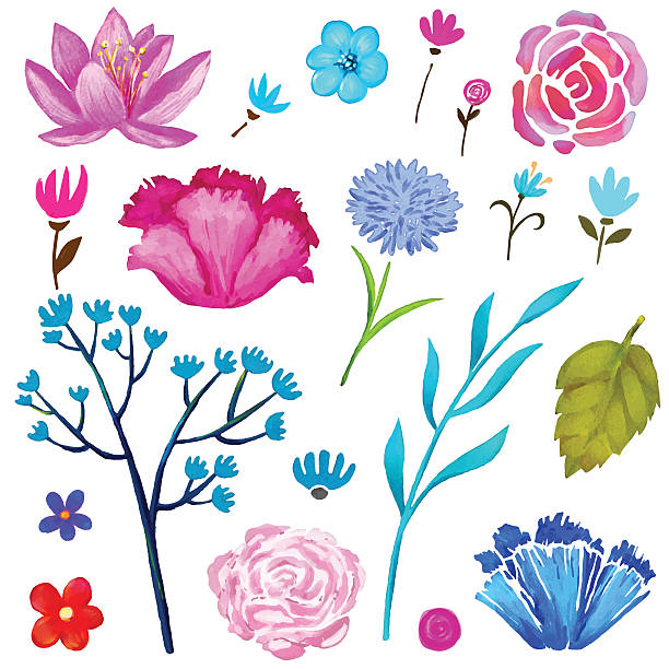illustrazioni stock, clip art, cartoni animati e icone di tendenza di set di fiori dipinti a mano ad acquerello, foglie e fiori - poppy pink close up cut flowers