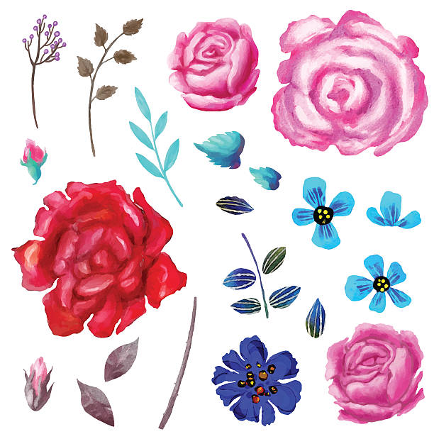 ilustrações, clipart, desenhos animados e ícones de mão pintada em aquarela floral definido, flores e folhas - poppy single flower red white background