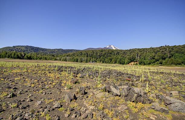 istock Conguillo Chile National Park 468277350