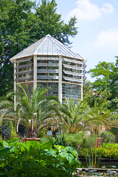 botanical garden in padova - padua stockfoto's en -beelden