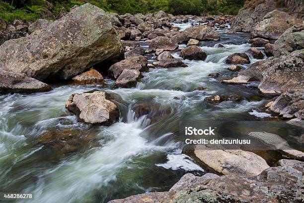 Ohinemuri River Stock Photo - Download Image Now - 2015, Beauty In Nature, Day