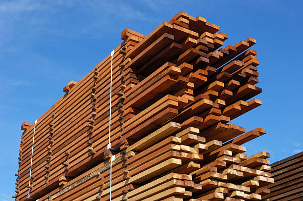 куча просто измельченный побережье redwood lumber - timber lumber industry redwood stack стоковые фото и изображения