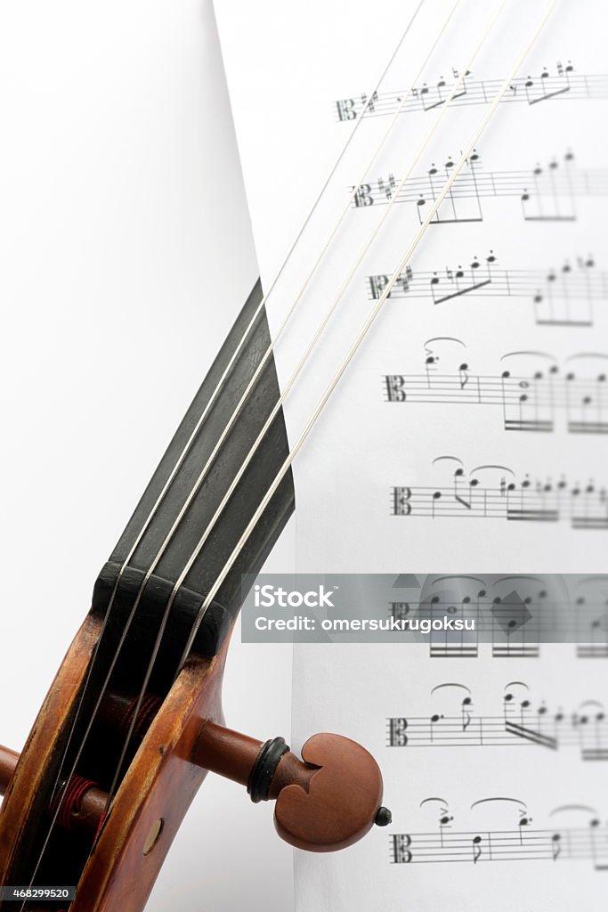 Viola Detail Violin family on white background. 2015 Stock Photo