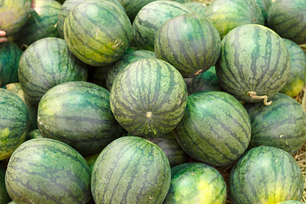 istock Many big sweet green watermelons 468299980