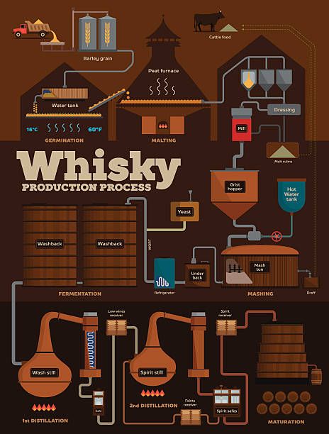 ilustraciones, imágenes clip art, dibujos animados e iconos de stock de la destilería de whisky proceso de producción infografías - alambique