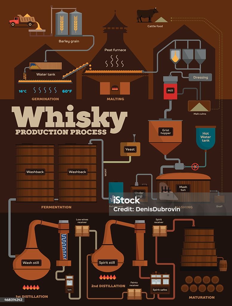 Whisky distillery production process infographics Detailed whisky production process, from barley grain to filling casks Whiskey stock vector