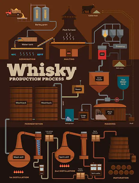 Vector illustration of Whisky distillery production process infographics
