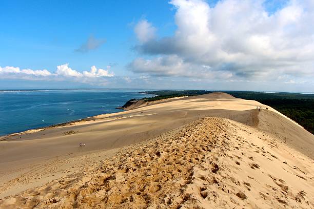 Dune du Pilat - Landes This dune is the highest in Europe. Located south of Arcachon, near the Arcachon basin, the Pilat dune receives many visitors every year. sable stock pictures, royalty-free photos & images