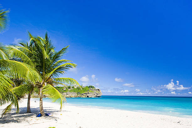 istock Tropical white sand beach paradise against a blue sky 468318696