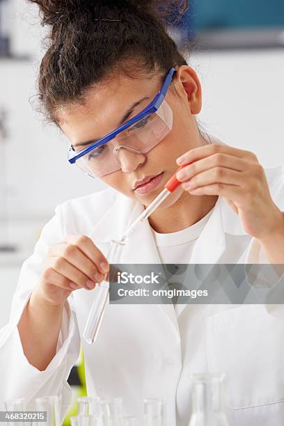 Scientist Adding Liquid To Test Tubes In Experiment Stock Photo - Download Image Now