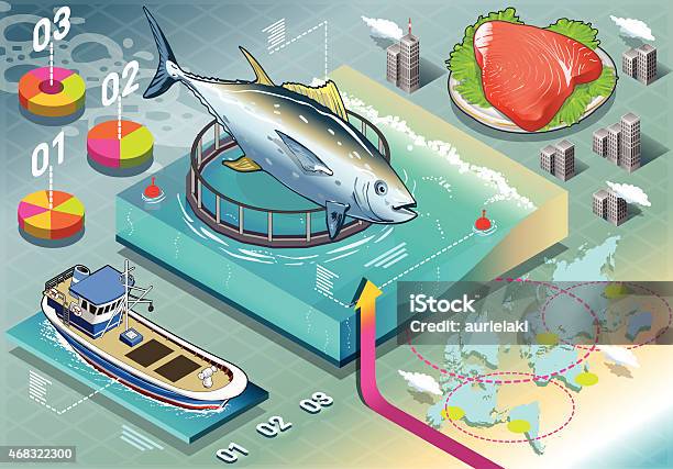 Isometric Infographic Of Tuna Breeding Stock Illustration - Download Image Now - Traceability, Food, Fish