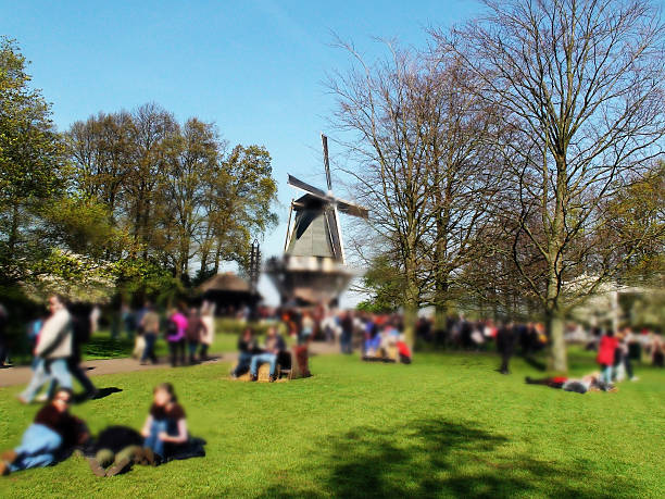 Keukenhof flower gardens.The Netherlands.