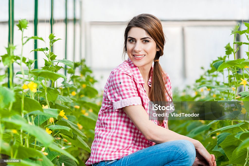 Young woman gardening Beautiful young woman gardening and smiling at camera. Greenhouse produce. Food production. 2015 Stock Photo