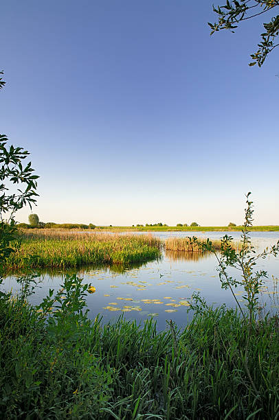 istock Summer landscape of beautiful Lake 468324785