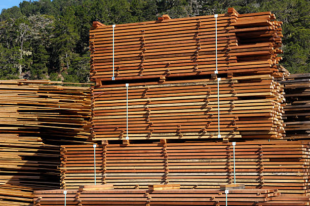 stosy tylko częściowo redwood przetwarzanego - timber lumber industry redwood stack zdjęcia i obrazy z banku zdjęć