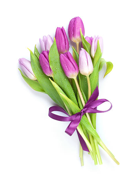 фиолетовый тюльпаны букет - tulip bouquet стоковые фото и изображения