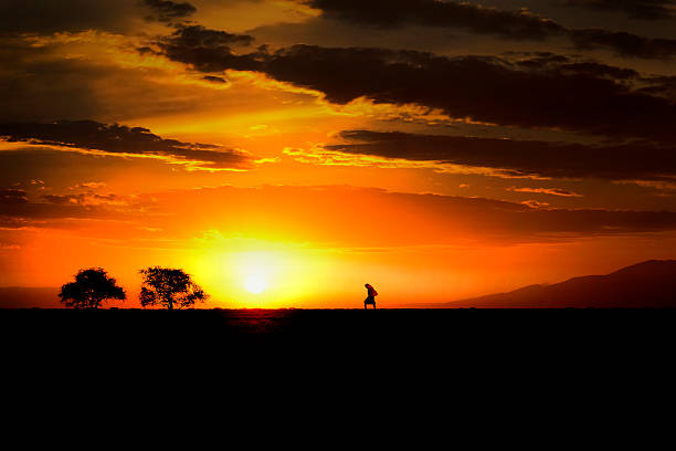 African sunset stock photo