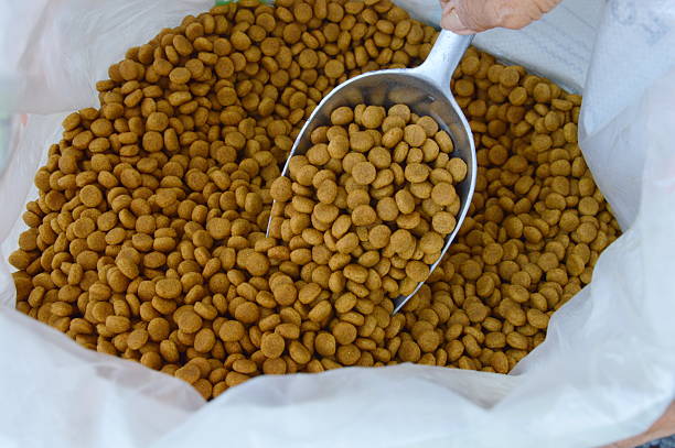 istock pet food on the scoop 468332268