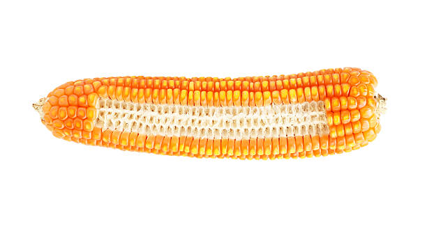 istock Grains of corn isolated on white background 468337446