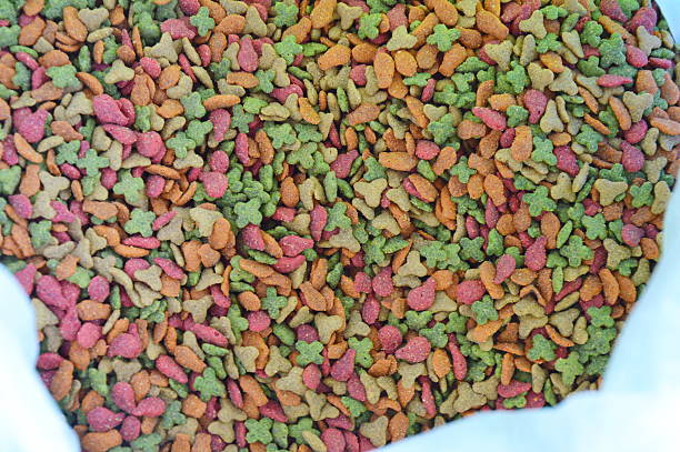 istock cat food in the bag 468337640