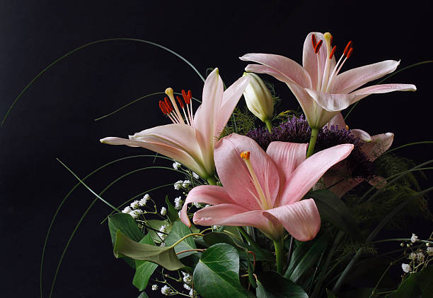 Bouquet of pink Easter lily
