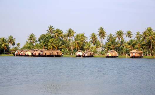 Traditional house boats moored alongside canal in Kerala Backwaters