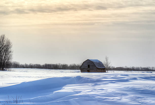 istock Leaning barn in a winter landscape 468339023