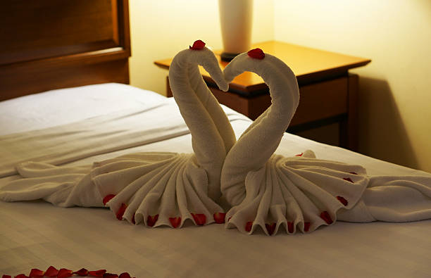 dois cisnes feito de toalhas em lua-de-mel-size - honeymoon romance wedding bedroom - fotografias e filmes do acervo