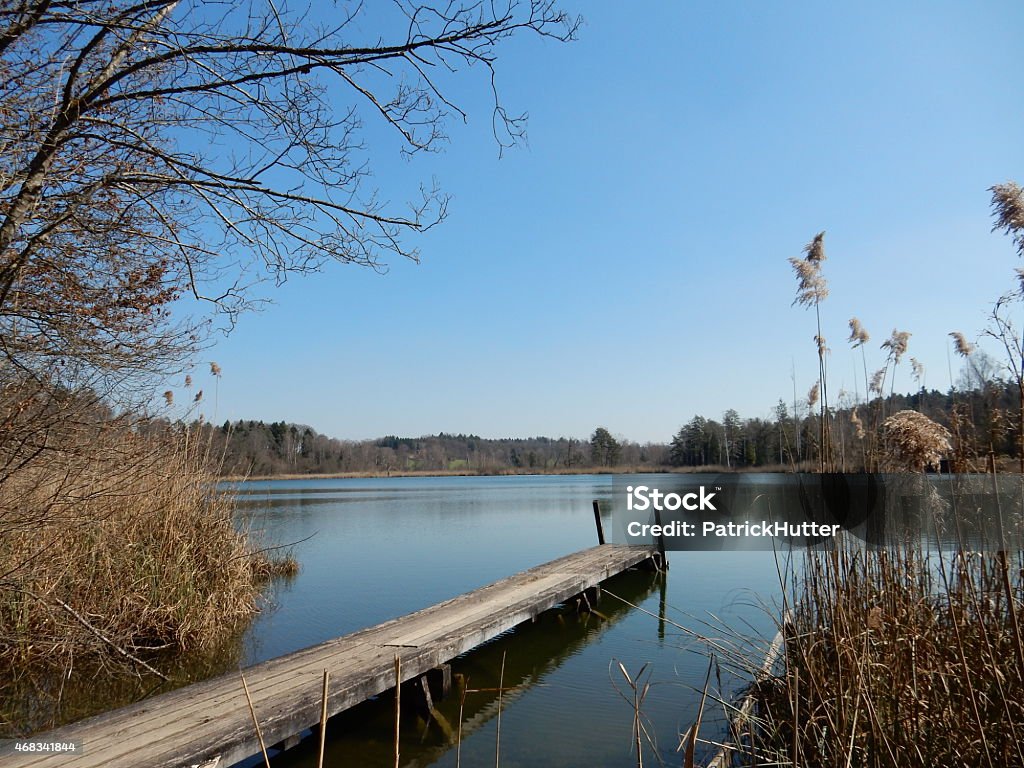 ridge on husemersee ridge on Husemersee , Ossingen, Switzerland 2015 Stock Photo