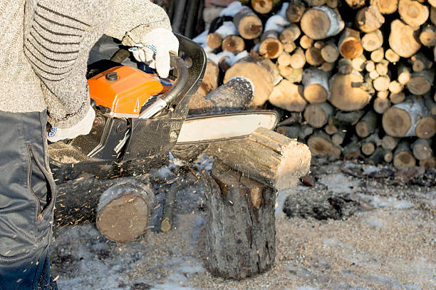 istock The process of cutting firewood with chainsaw 468342094