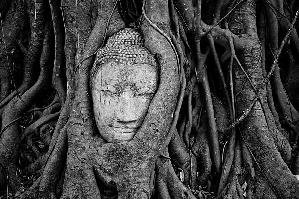 istock Budda head traped in the tree roots in Ayutthaya, Thailand 468343903