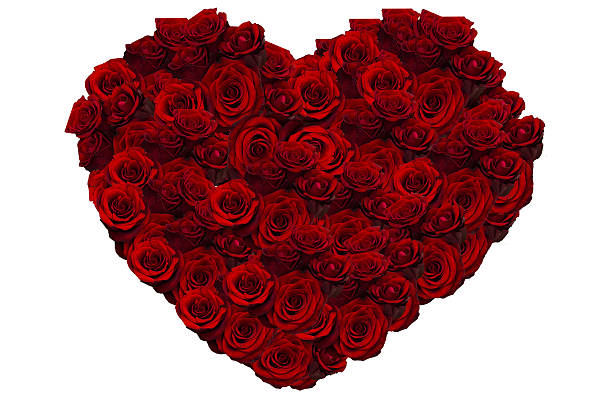 istock Valentines Day Rose Heart 468344763