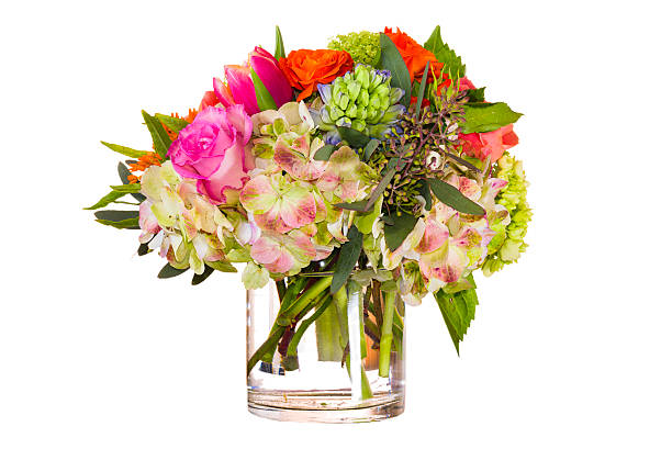 istock Variety of Flowers Isolated on White 468345175