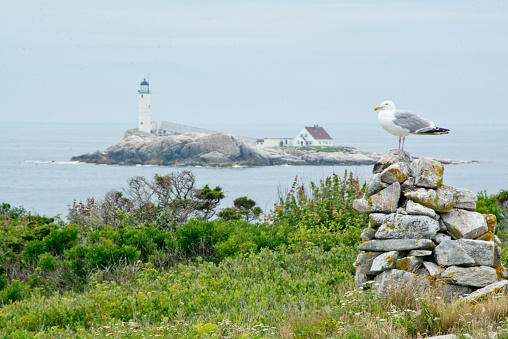 White Island is the southernmost island in the Isles of Shoals off of Rye, New Hampshire.