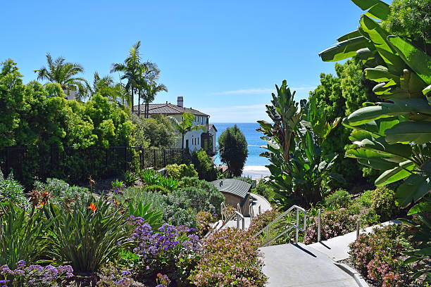 istock Fisherman's Cove, Laguna Beach Entrance 468346112