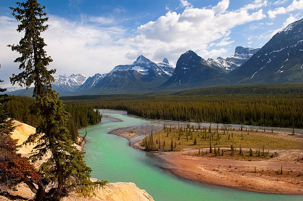 enormes montanhas rochosas canadianas - rafting beauty in nature blue canada imagens e fotografias de stock