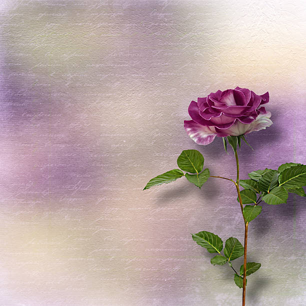 istock Drawing beautiful bouquets of roses on pastel background 468350090