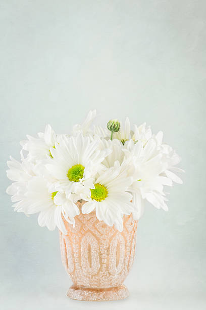 istock White daisies in small vase 468350294