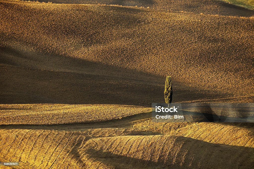 Paisaje ondulado con Lonely ciprés, Toscana, Italia - Foto de stock de Aire libre libre de derechos