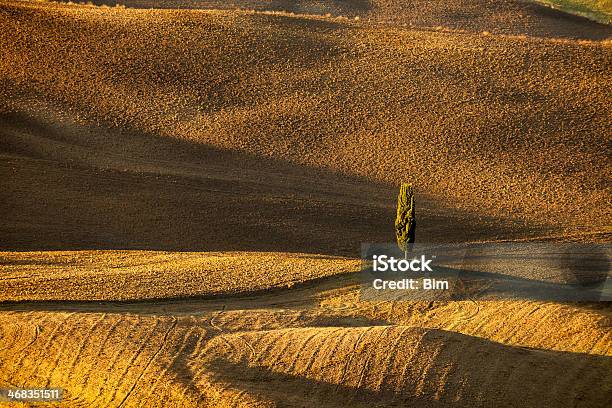 Paisaje Ondulado Con Lonely Ciprés Toscana Italia Foto de stock y más banco de imágenes de Aire libre