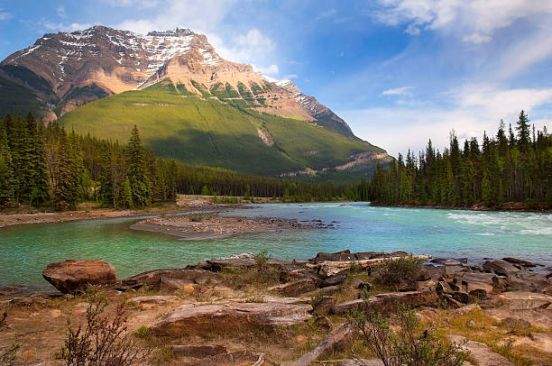 istock River in the Canadian Rockies 468356884