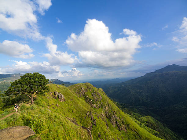 istock Tourist at Little Adam's Peak in Ella 468357746