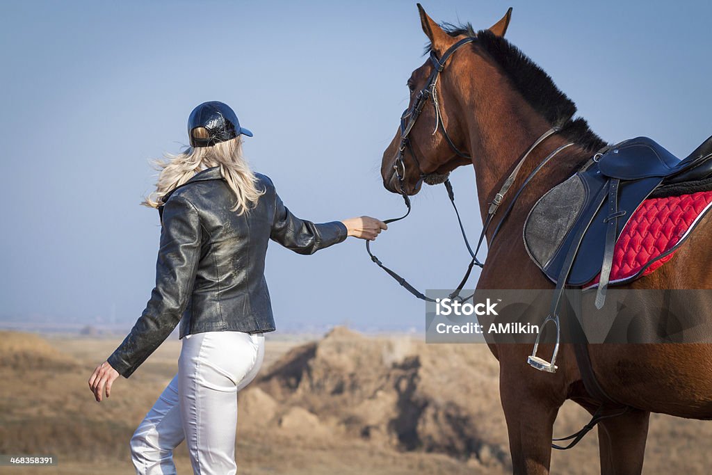 Cavalo e rider - Royalty-free 20-24 Anos Foto de stock
