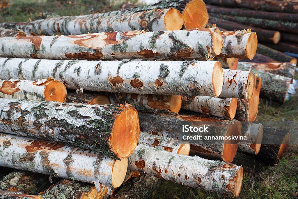 Deforesation Deforesation trees cutted to build a house 2015 Stock Photo